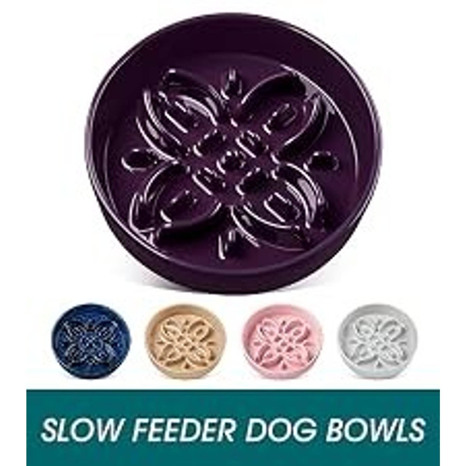 Elevated Ceramic Slow Feeder Cat Bowl, 6.25in Anti-Vomiting Bowl for Dry & Wet Cat Food, White, Elevated Bowl Elevated Ceramic Slow Feeder Cat Bowl, 6.25in Anti-Vomiting Bowl for Dry & Wet Cat Food, White, Elevated Bowl