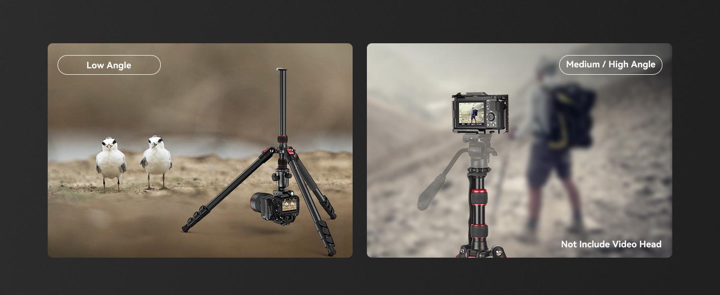 SmallRig 68" Camera Tripod, Foldable Aluminum Tripod & Monopod, Compatible with 1/4"-20 and 3/8"-16 Video Head, Payload 33lb, Adjustable Height from 19.7" to 67.7" for Camera, Phone - 3983