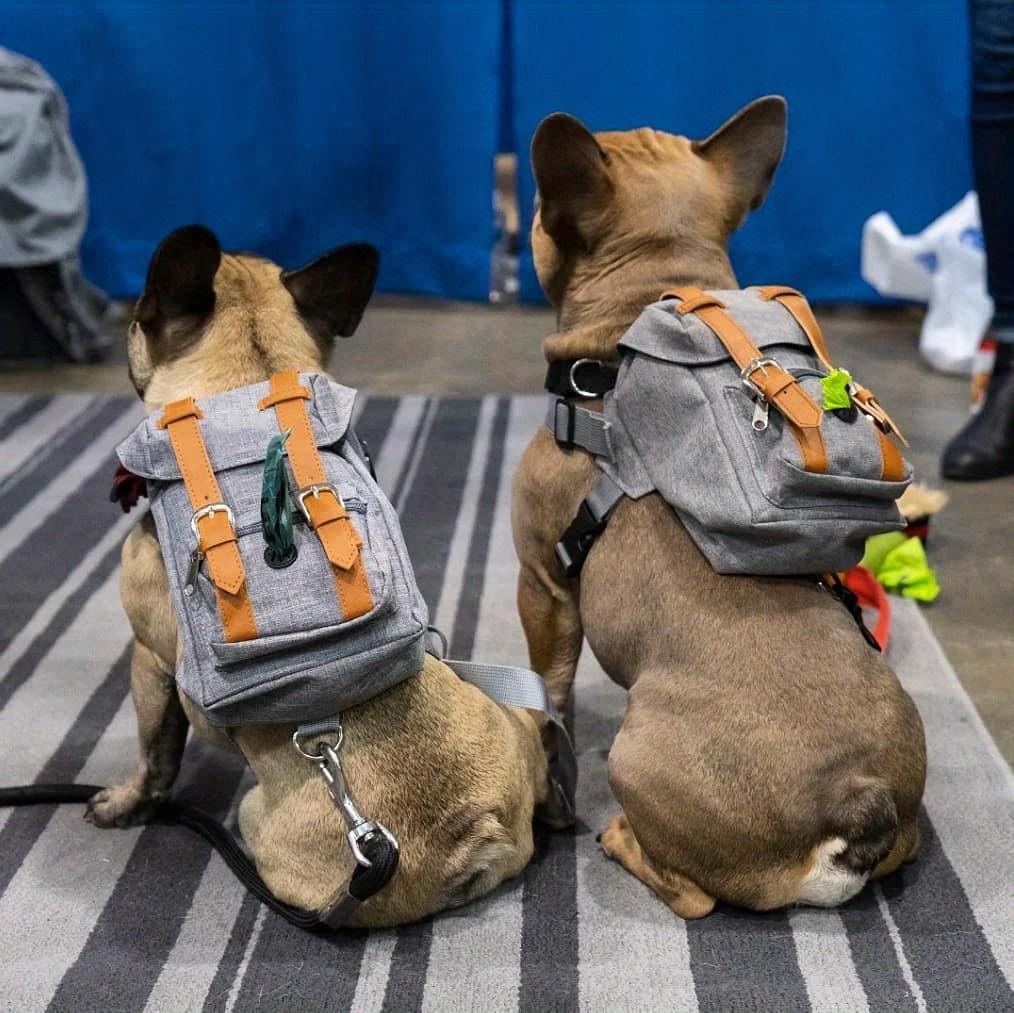Multifunctional Adjustable Pet Carrier Backpack with Safety Harness, Suitable for Small to Medium Dogs (Chest 17.72-25.59inch), Portable Travel And Daily Use Pet Bag