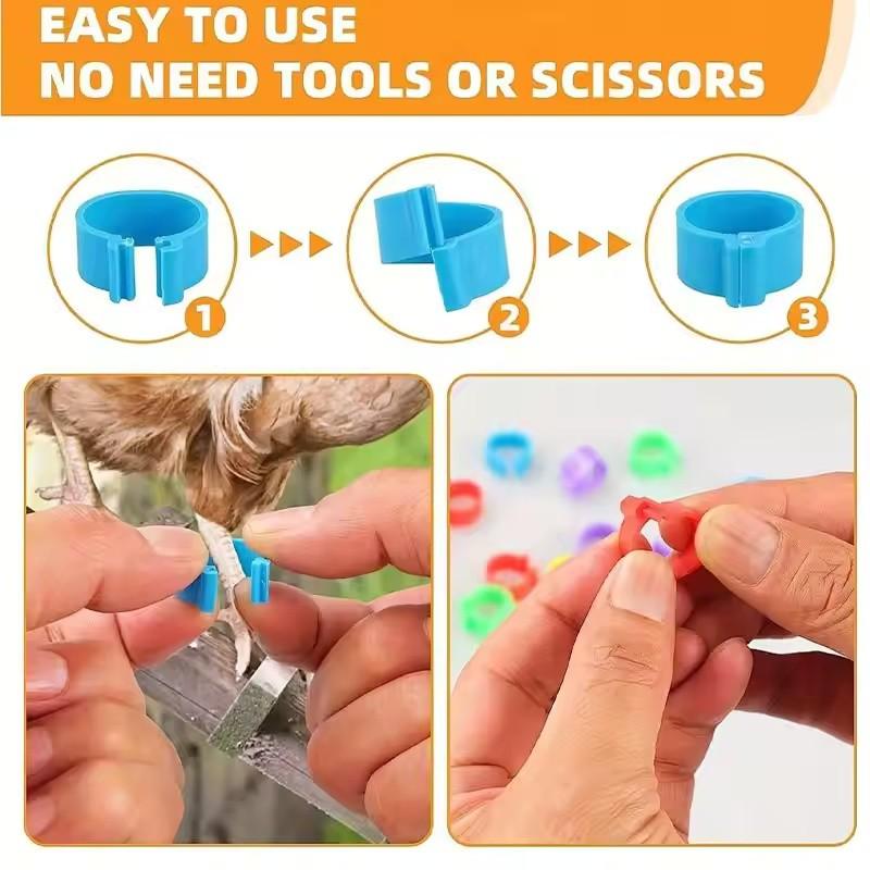 Colorful Parrot Pigeon Foot Rings Set of 50, No-Word Identifier Bands, Bird Training Tools, Plastic Anti-Drop Feet Clips, Pet Bird Accessories