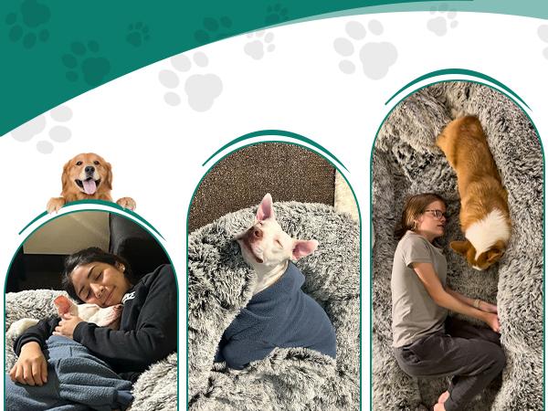 DWVO Human Dog Bed, 79"x43" Extra Large Memory Foam Dog Beds for Adults and Pets with Blanket and Pillow, Washable Fur Cover