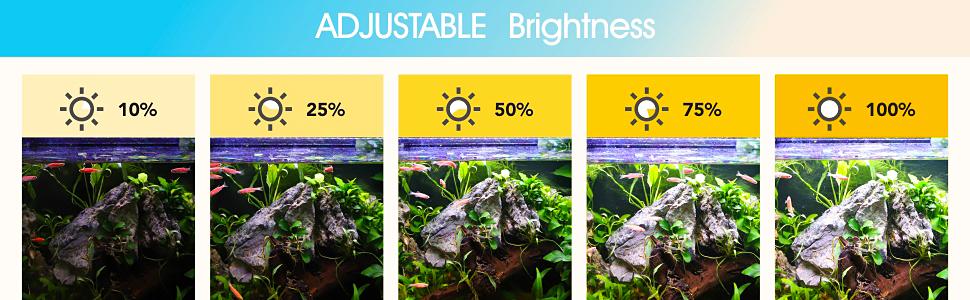 hygger Clip On 24/7 Lighting Aquarium LED Light, 14W Sunrise-Daylight-Moonlight and DIY Mode, Adjustable Timer / Brightness Fish Tank Light with 7 Colors for Planted Tank Aquatic Life Outdoorfun