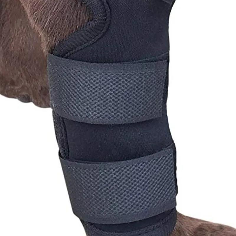 1Pair Pet Knee Support Braces – Hock Joint Wraps For Dog Leg Injury Recovery & Mobility Protection 
