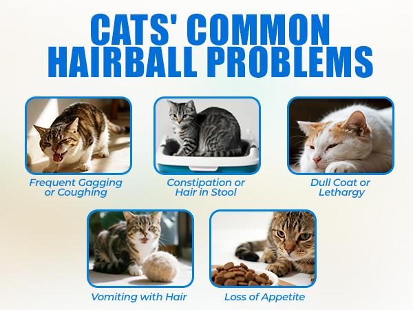 Just Try Cat Grass Hairball Relief Treats – Pumpkin & Omega-3 Fish Oil for Digestive Support, Chicken Flavor Hairball Treatment for Cats, 300 Count