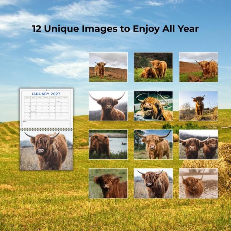 2027 Baby Highland Cows Wall Calendar, Cute Highland Cow Farm Animal Calendar, 12 Month Large Monthly Calendar, December, January, Rustic Farmhouse Gift