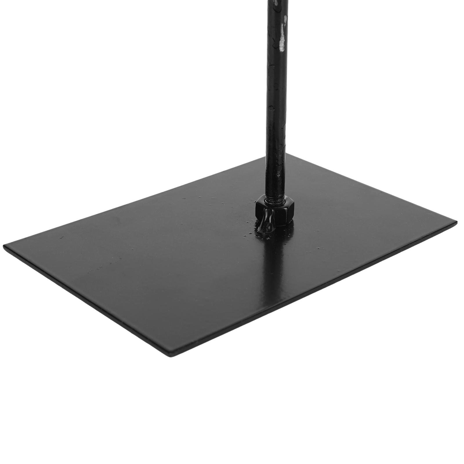 Dinosaur Skull Statue,Dinosaur Sculptures Bracket Tyrannosaurus Skull Replica Decoration Skull Bones Resin Replica with Bracket for Home Office Decor Shelf Display