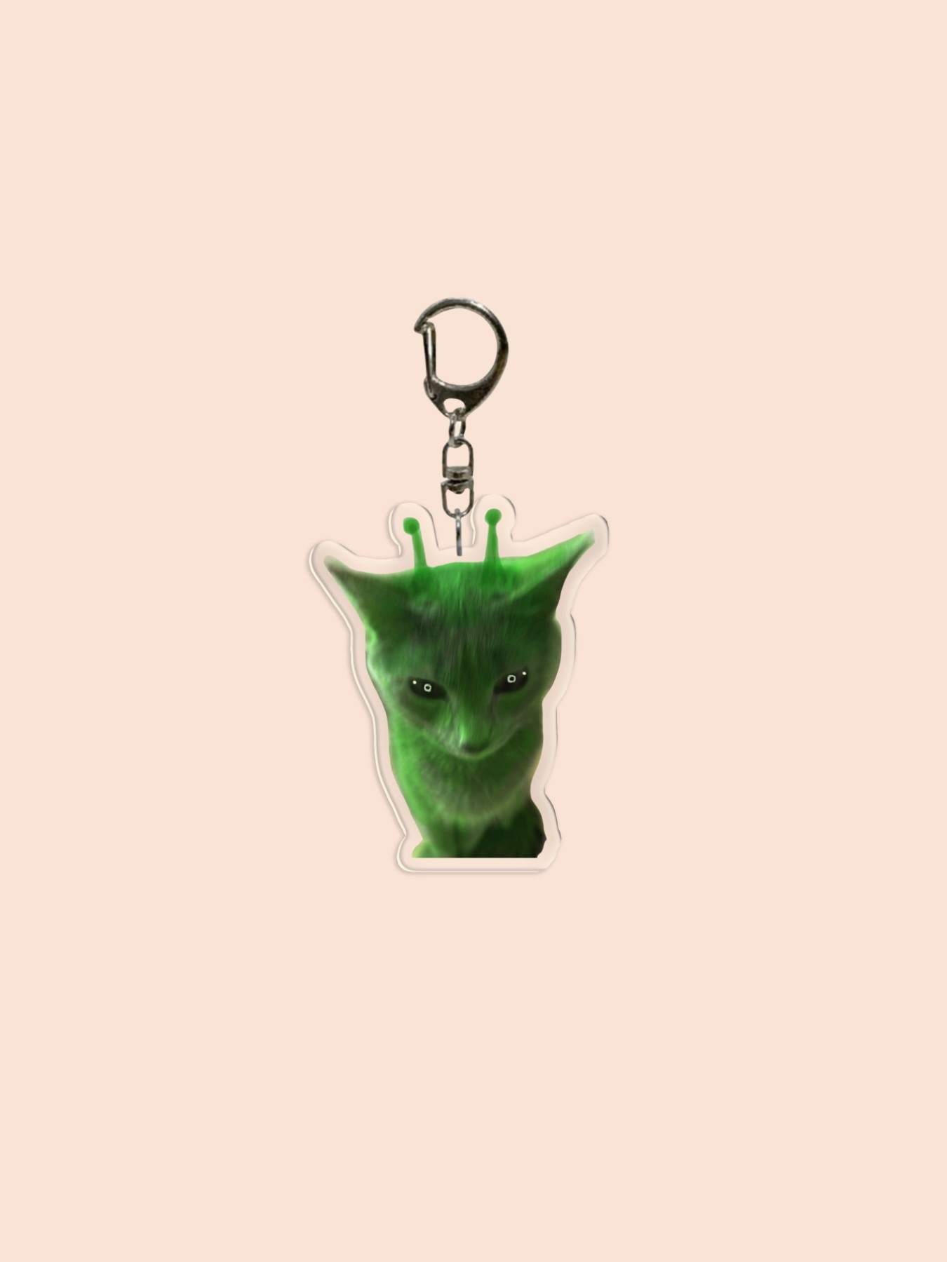 Funny Alien Acrylic Keychain, Face, Alien Cat, Sad Cat Pendant, Backpack Charm, Phone Accessory, Wallet Clip, Friend Gift