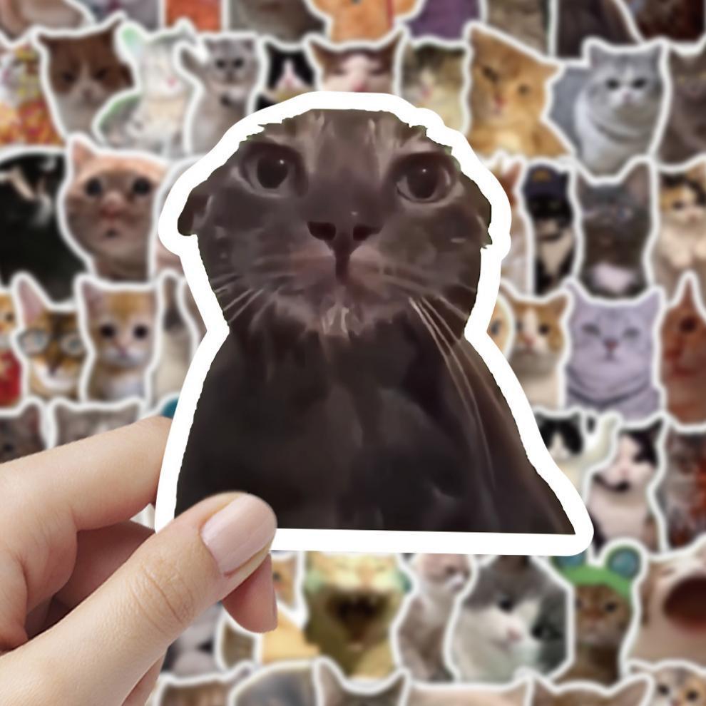300 cat meme stickers, cute and funny quirky cat Instagram-style emoji and meme images