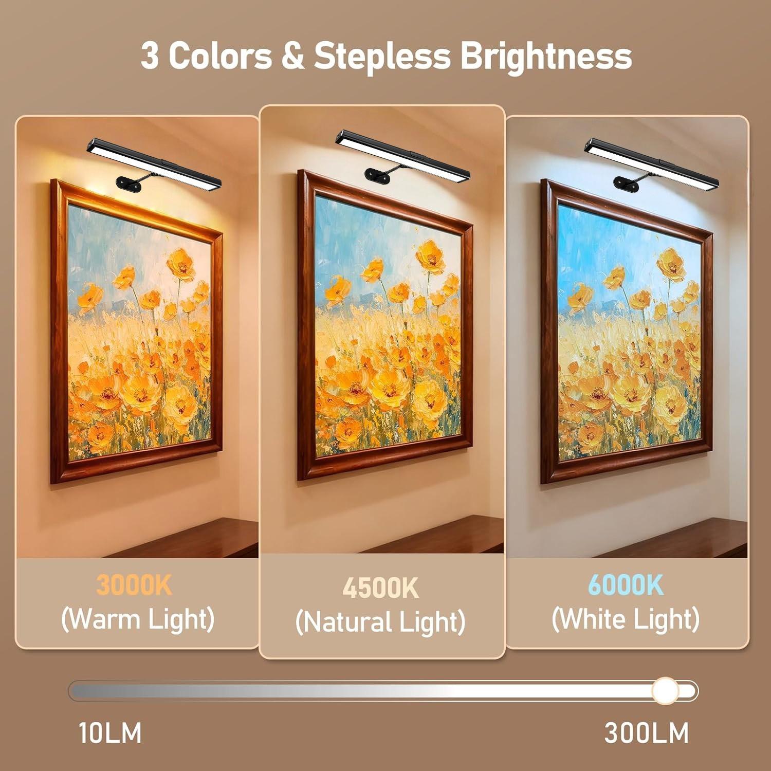 Adjustable Light Picture Lamp with Controller and Timer, USB Rechargeable Wall Lamp for Mural Art Gallery Painting Portrait Walls, Picture Lights