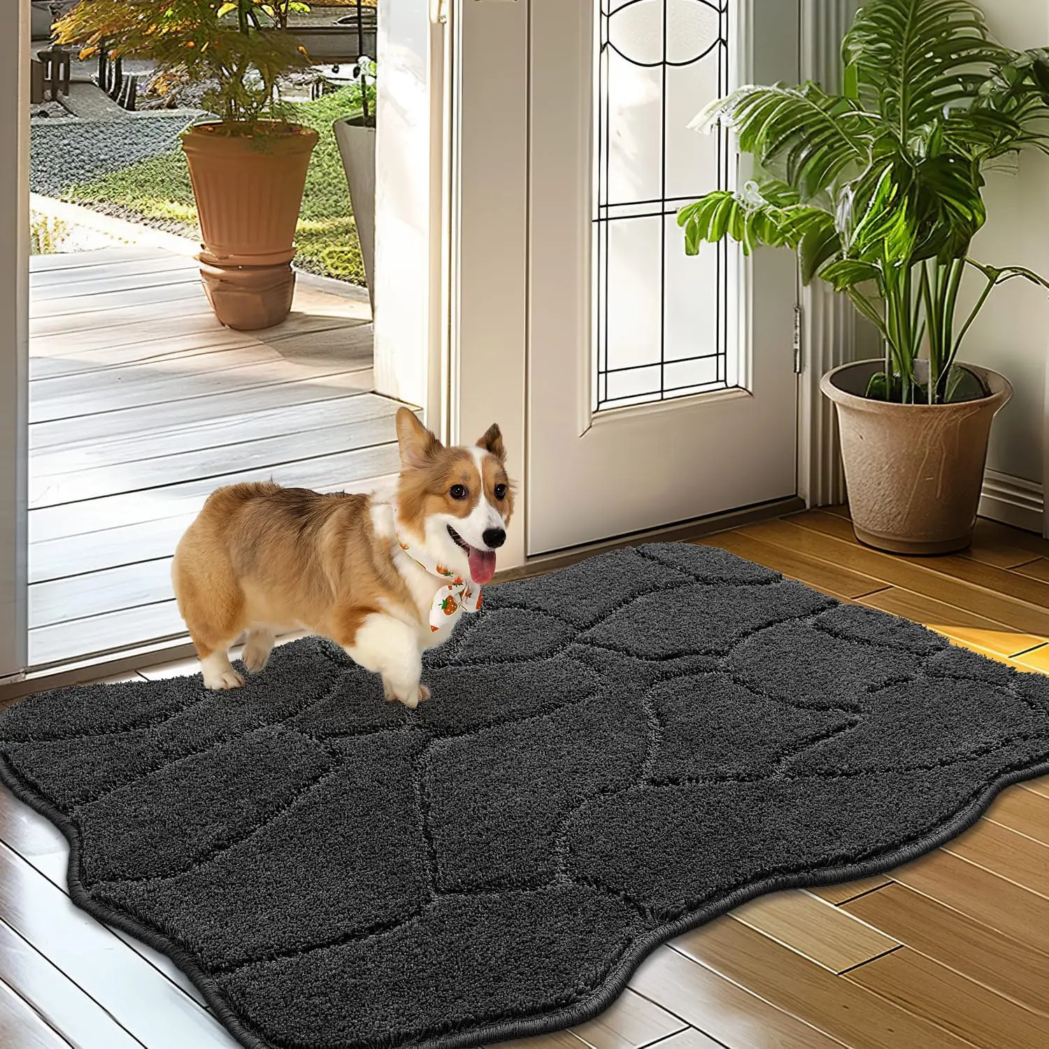 Mat for Mud Paws, 24x36 Low Profile Absorbent Dirt Trapper Door Mat, Non-Slip Washable Mud Mat for Dogs, Microfiber  Rug Mat for Front Door Indoor, Patio, Entrance (Charcoal)