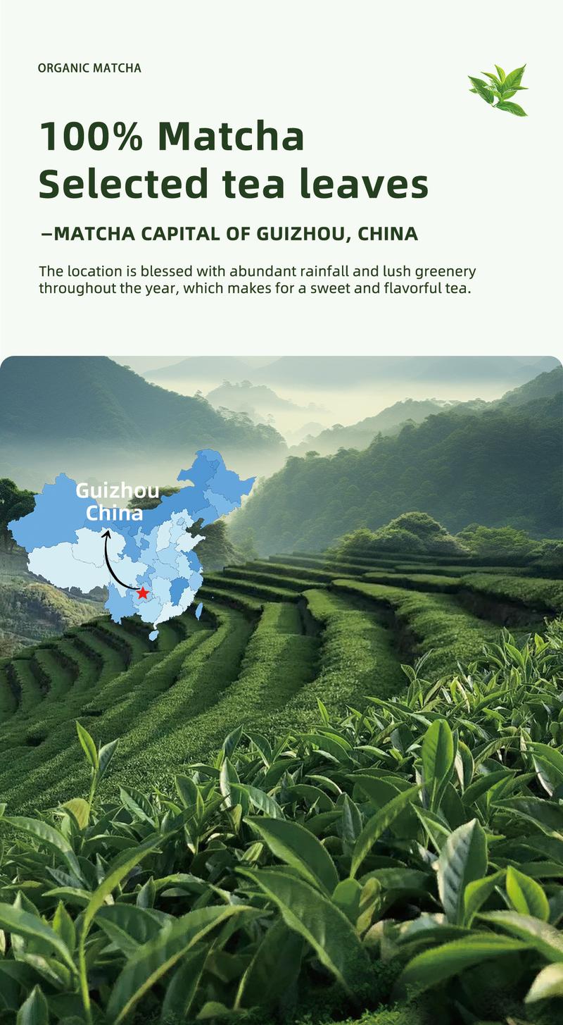 TEANAGOO Ceremonial Grade Matcha Powder Premium First-Harvest USDA Organic Unsweetened No Additives for Latte Daily Beverage or Traditional Tea Ceremony Multiple  Healthy