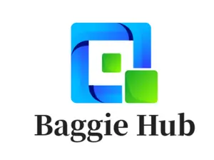 Baggie Hub shop logo