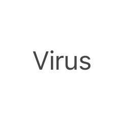 Virus