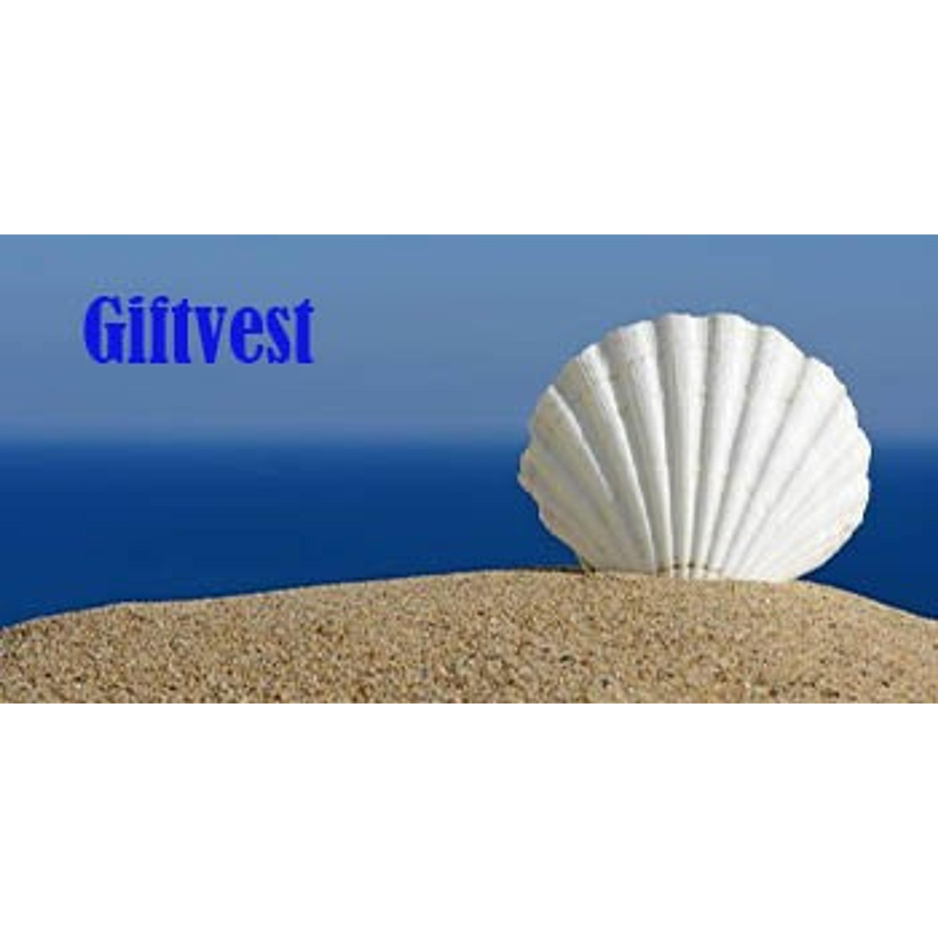 10PCS Large Natural Seashells White Scallop Shells 4"-5" | Sea Shells for Crafts, Baking, Cooking and Serving Food, DIY Crafts, Seashell Beach Decorations and Home Decor