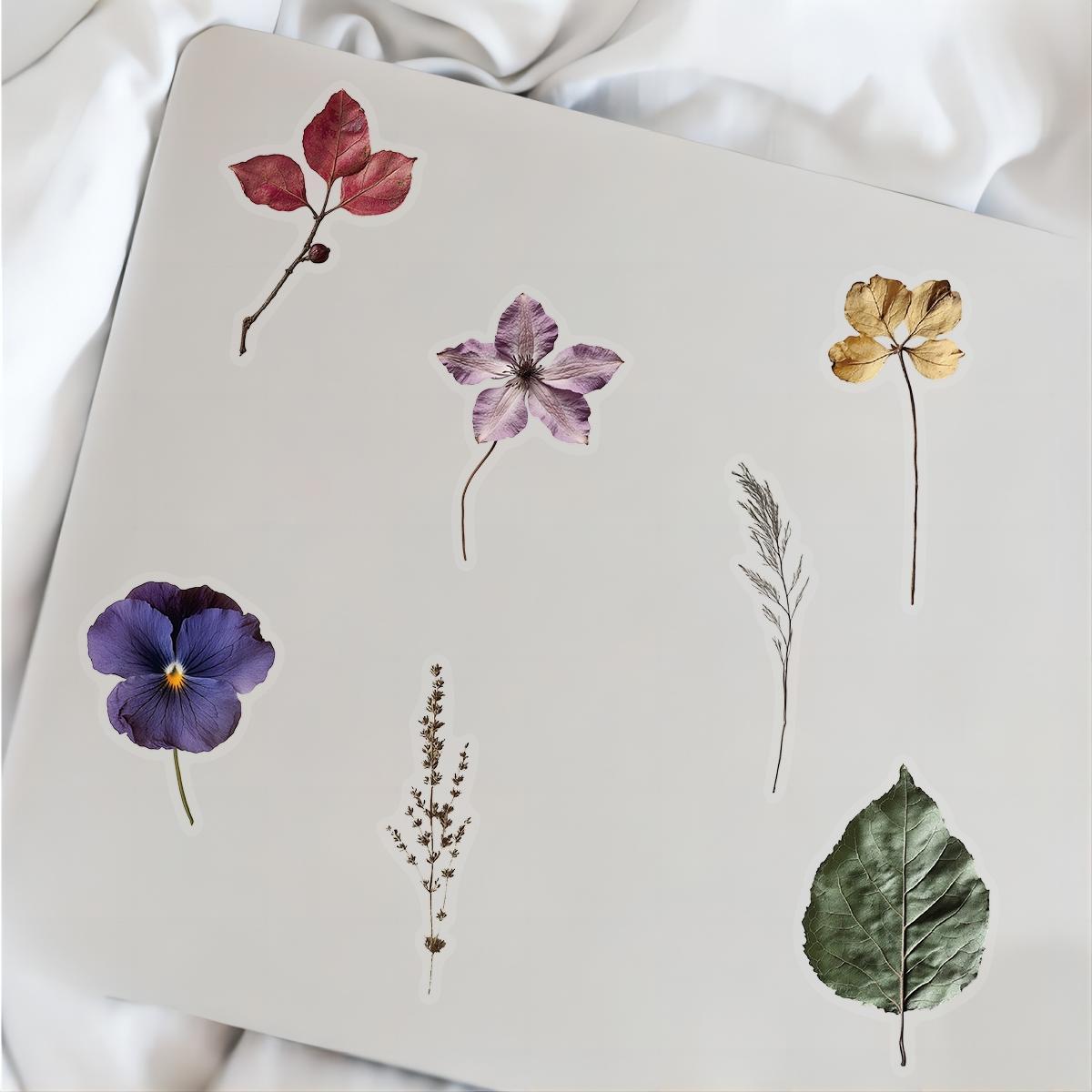 50-Piece Plant Stickers for Scrapbooking, Journaling & Crafting – Realistic Botanical Leaves, Ferns, and Tropical Plants, Self-Adhesive Decorative Stickers