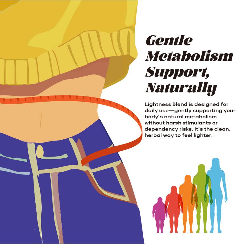 Bessence Lightness Blend Herbal Tea 25 Bags Green Tea Naturally Caffeine-Low Vegan & Non-GMO