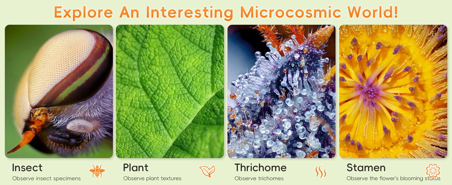 INSKAM 2'' Kids Microscope 1000X Handheld Digital Microscope HD Pocket Portable Mini USB Camera for PC STEM Learning Tools Fun Birthday Gift for Kids INSKAM 2'' Kids Microscope 1000X Handheld Digital Microscope HD Pocket Portable Mini USB Camera for PC STEM Learning Tools Fun Birthday Gift for Kids