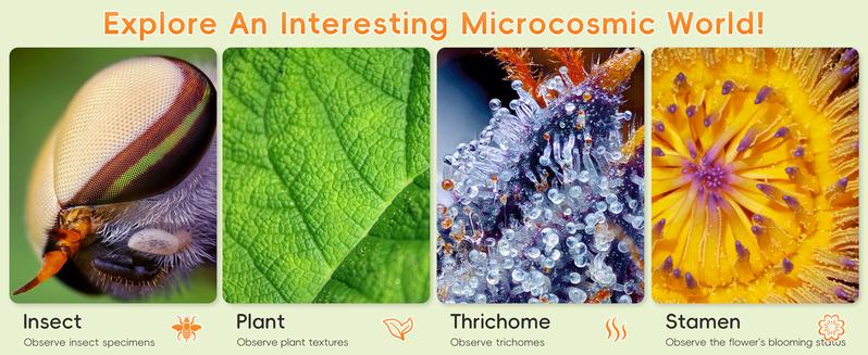 INSKAM 2'' Kids Microscope 1000X Handheld Digital Microscope HD Pocket Portable Mini USB Camera for PC STEM Learning Tools Fun Birthday Gift for Kids