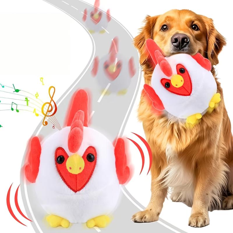 Rooster