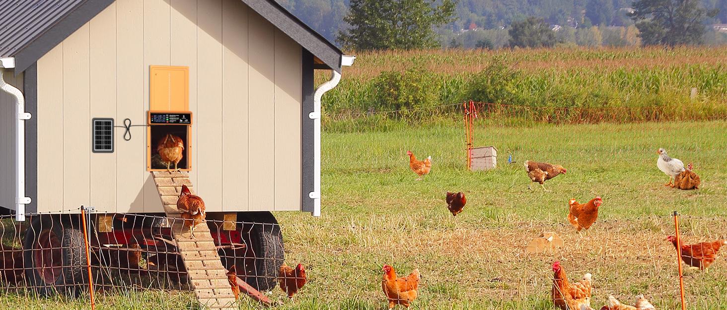 With Timer & Light Sensor Solar Powered Automatic Chicken Door, Anti-Pinch, Durable Aluminum, Charge with Solar Panel & USB - Orange coop With Timer & Light Sensor Solar Powered Automatic Chicken Door, Anti-Pinch, Durable Aluminum, Charge with Solar Panel & USB - Orange coop