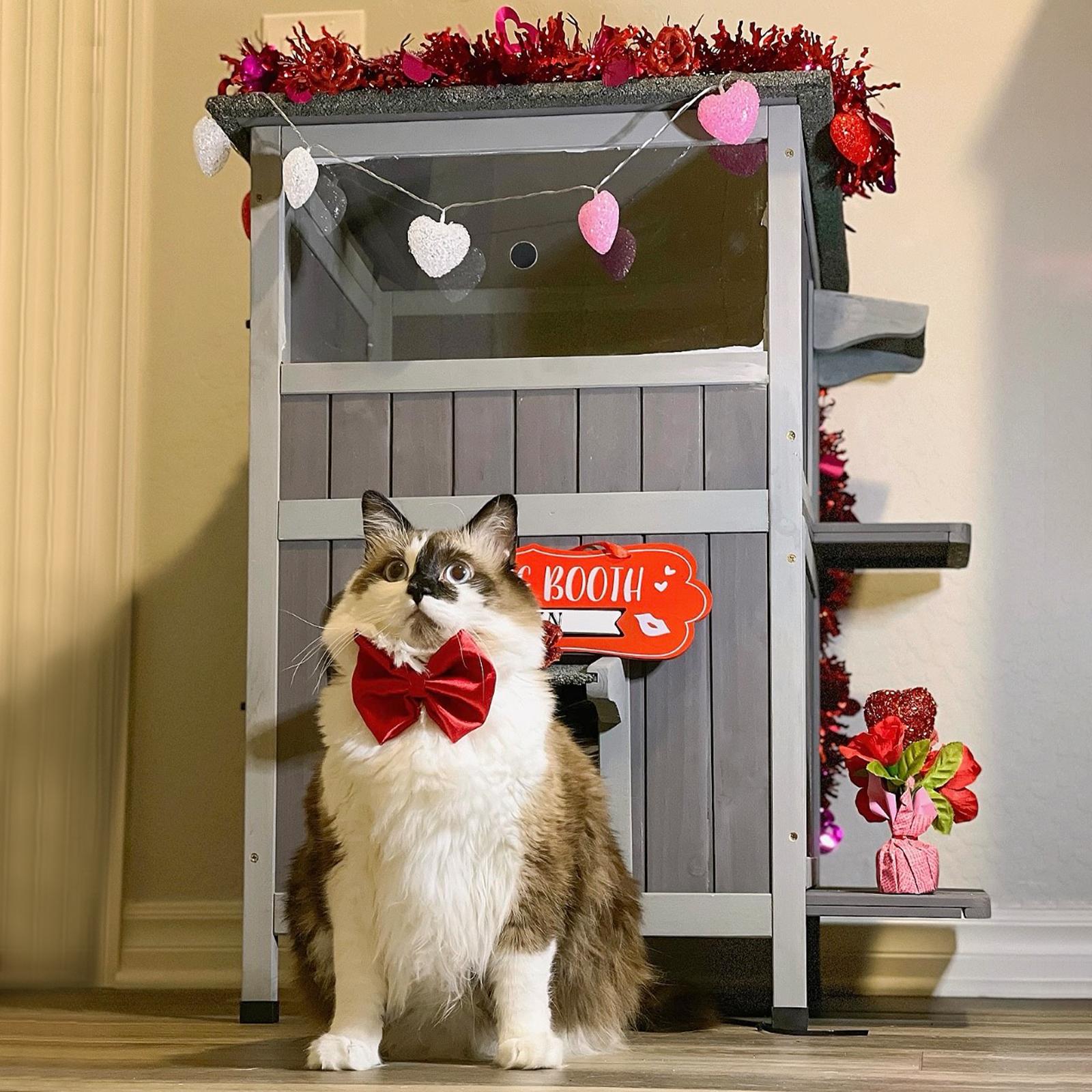 Aivituvin-AIR14-1 Two Tier Wooden Cat House with Waterproof Roof, Door Flaps,Cat Outdoor Shelter