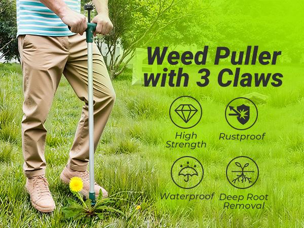 Walensee Stand-Up Lawn Root Puller for Dandelions & Deep-Root Plants — No-Bend Design, Perfect for Homeowners & Fall Yard Care, Black Friday Deal