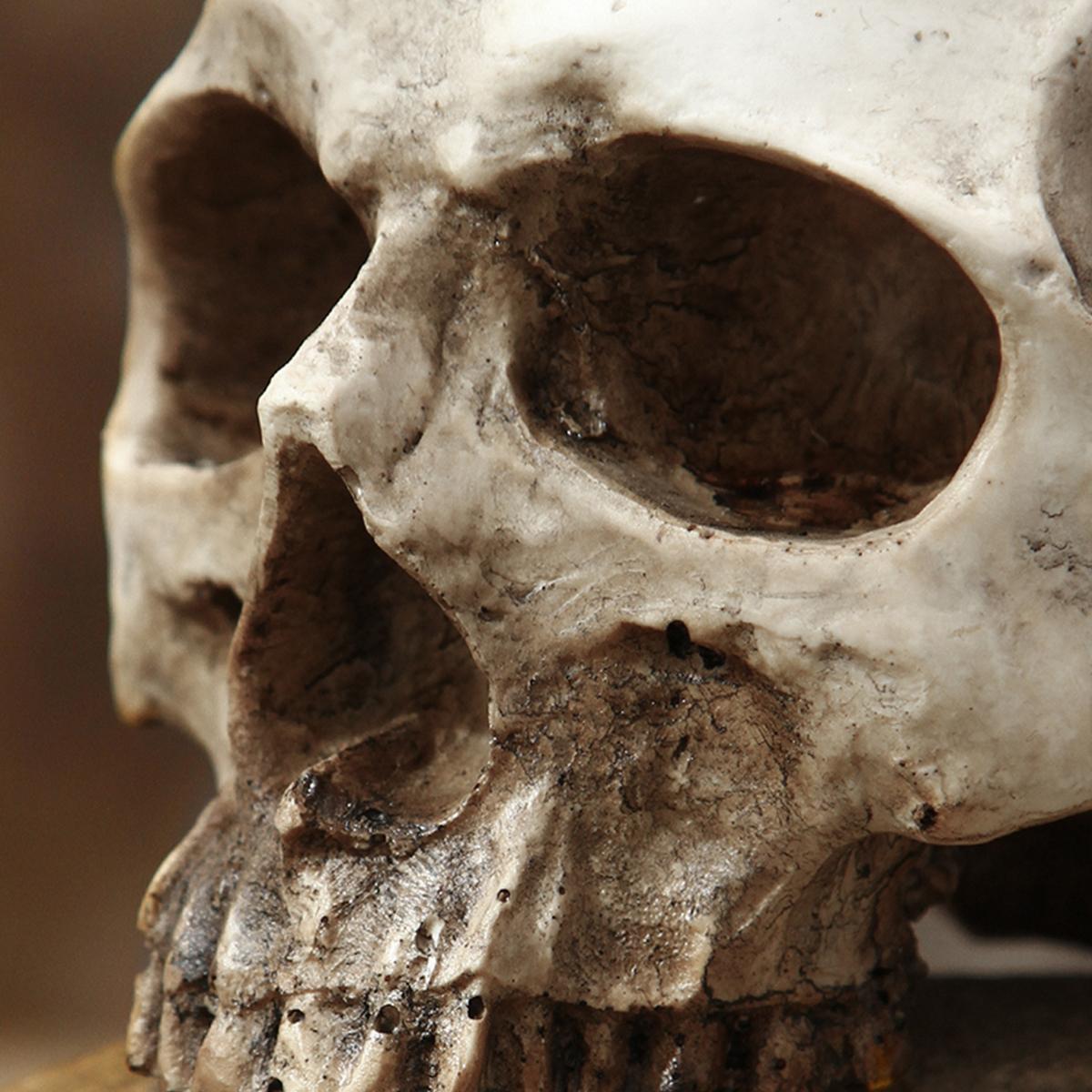 Gothic Halloween Skull Planter Pot, Resin Material Garden Decoration, Perfect for Party & Celebration, Fun Succulent Planting Bowl, Resin Flower Pot