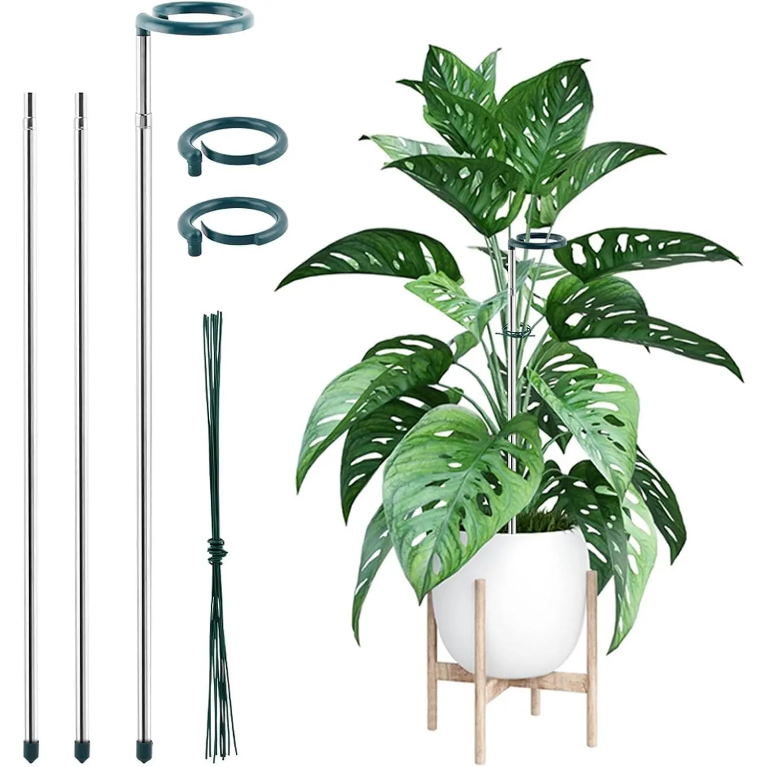 3 Pack Extendable Monstera  Support Stakes,  Alloy, Tomato Stakes Length Adjust from 16.93" to 32.28", Single Stem Support Stakes for  ,Rose, Orchid