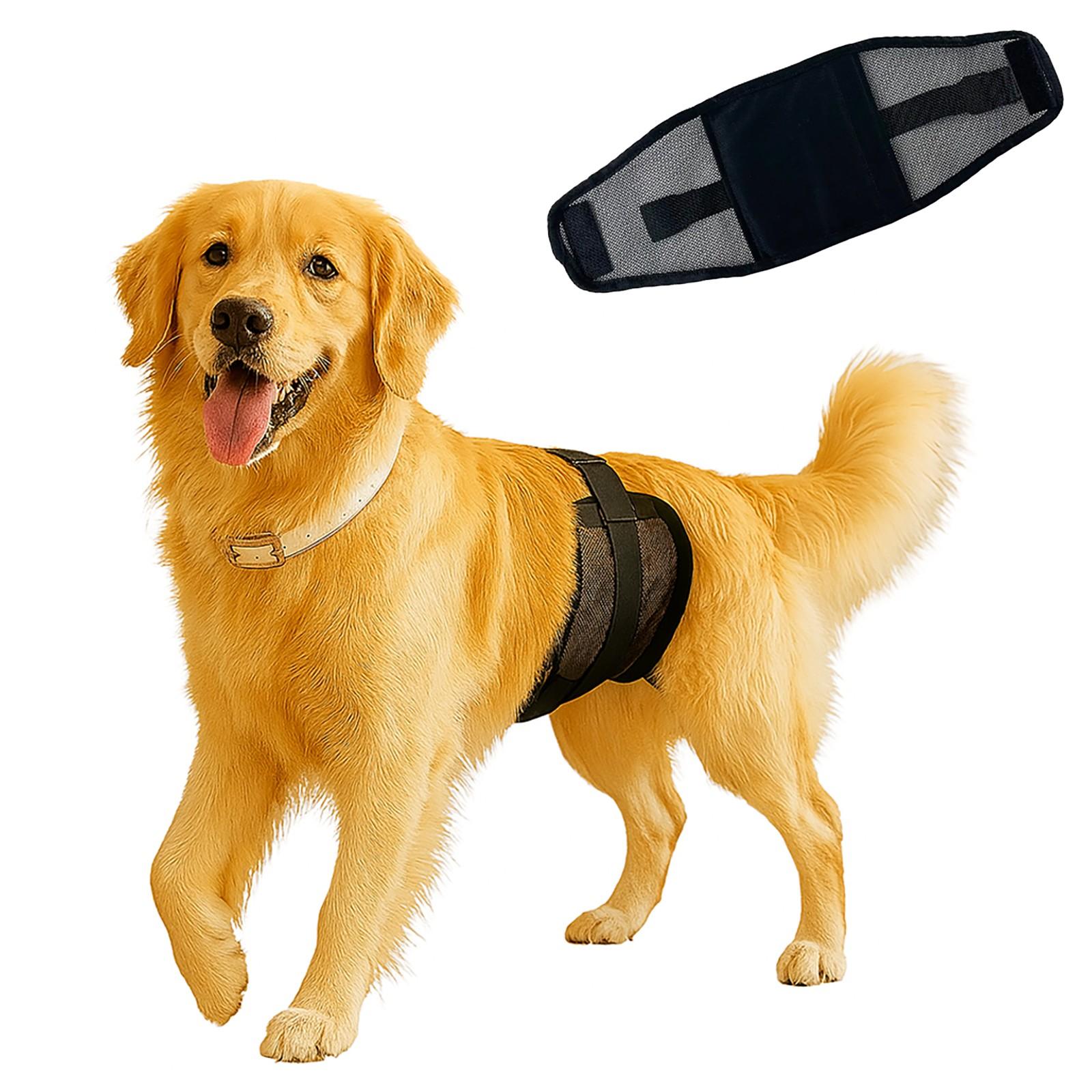Adjustable Pet Training Pants for Dogs, Breathable Mesh Fabric, Home & Outdoor Use, Anti-Overflow Urine Protection, Comfortable Gaiter