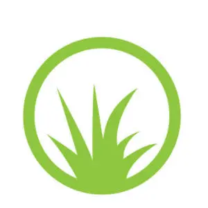 background preload poster image 