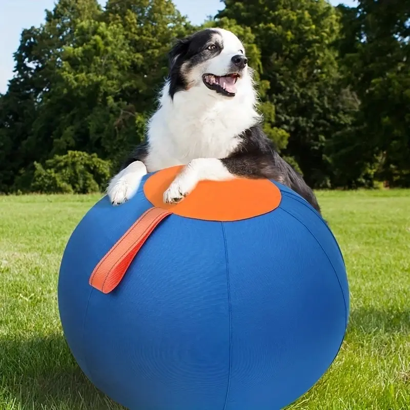 Dog Giant Ball Toy, Boredom Relief Training Balls, Fun Cattle Dog and Australian Shepherd Toys, Dog Balls, Dog Toys, Dog Accessories