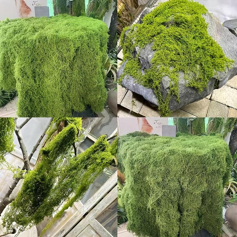 Preserved Sheet Moss, Natural Green Decorative Moss for Plant Walls, Terrariums, Home Decor & Crafts, Long-Lasting No-Water Artificial Moss