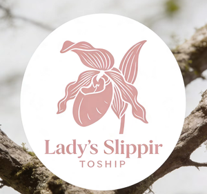 Lady's Slipper