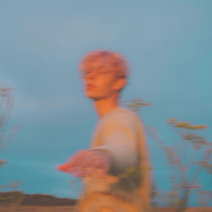 Wall Decor Professor Wall Decor Professor