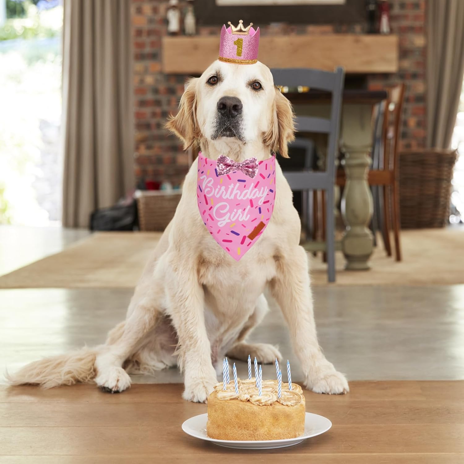 Birthday Party Supplies, Multi Size Birthday Girl Bandana,  Crowns Hat Set for Medium Large Pets (Large)