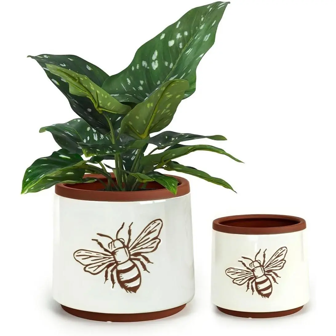 White Bee