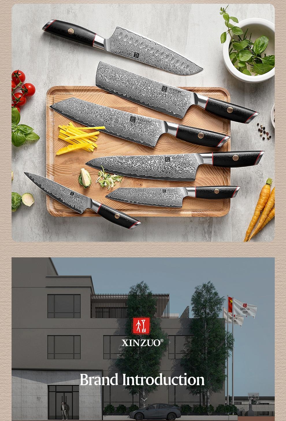 XINZUO Professional 5.3 Utility Knife, 67 Layers Damascus Steel Kitchen Knife, Hardness 60±2HRC, Carbon Fiber Pattern G10 Handle, Kitchen Cutlery for Home Use