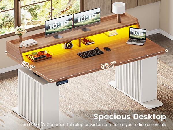 SEDETA 55 Inch Fluted Electric Standing Desk Ergonomic Height Adjustable Desk with Storage Power Outlets LED Lights