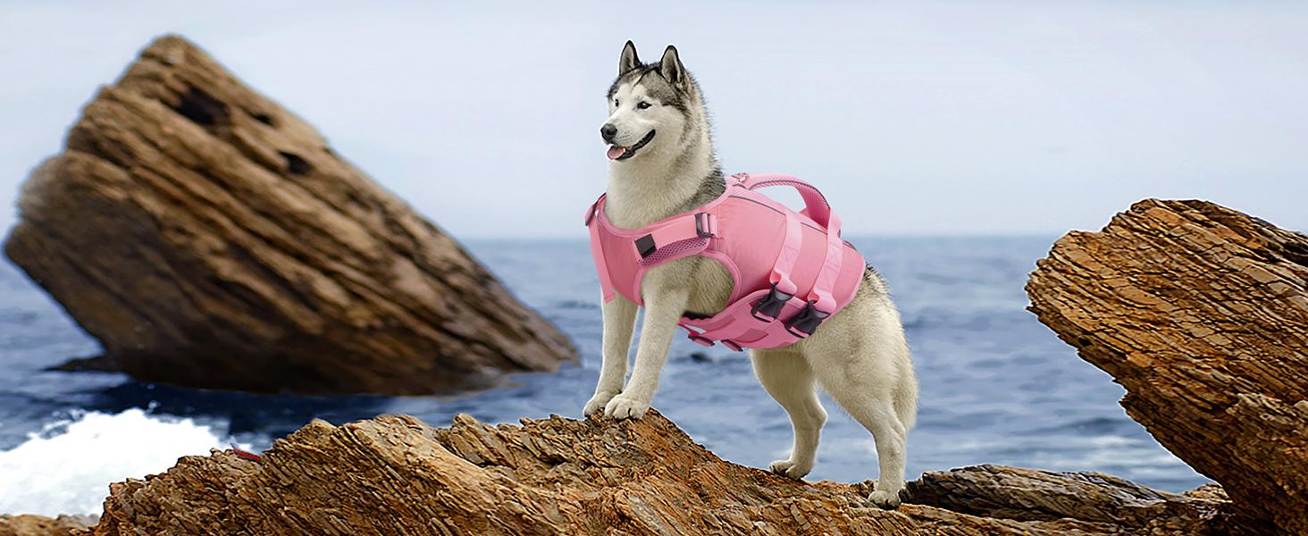 Kuoser Dog Life Jacket High Buoyancy, Reflective Dog Life Vest for Swimming Boating, Adjustable Small Medium Large Dog lifejacket, Lightweight Dog Life Preserver Rescue Handle Spring Summer Pool