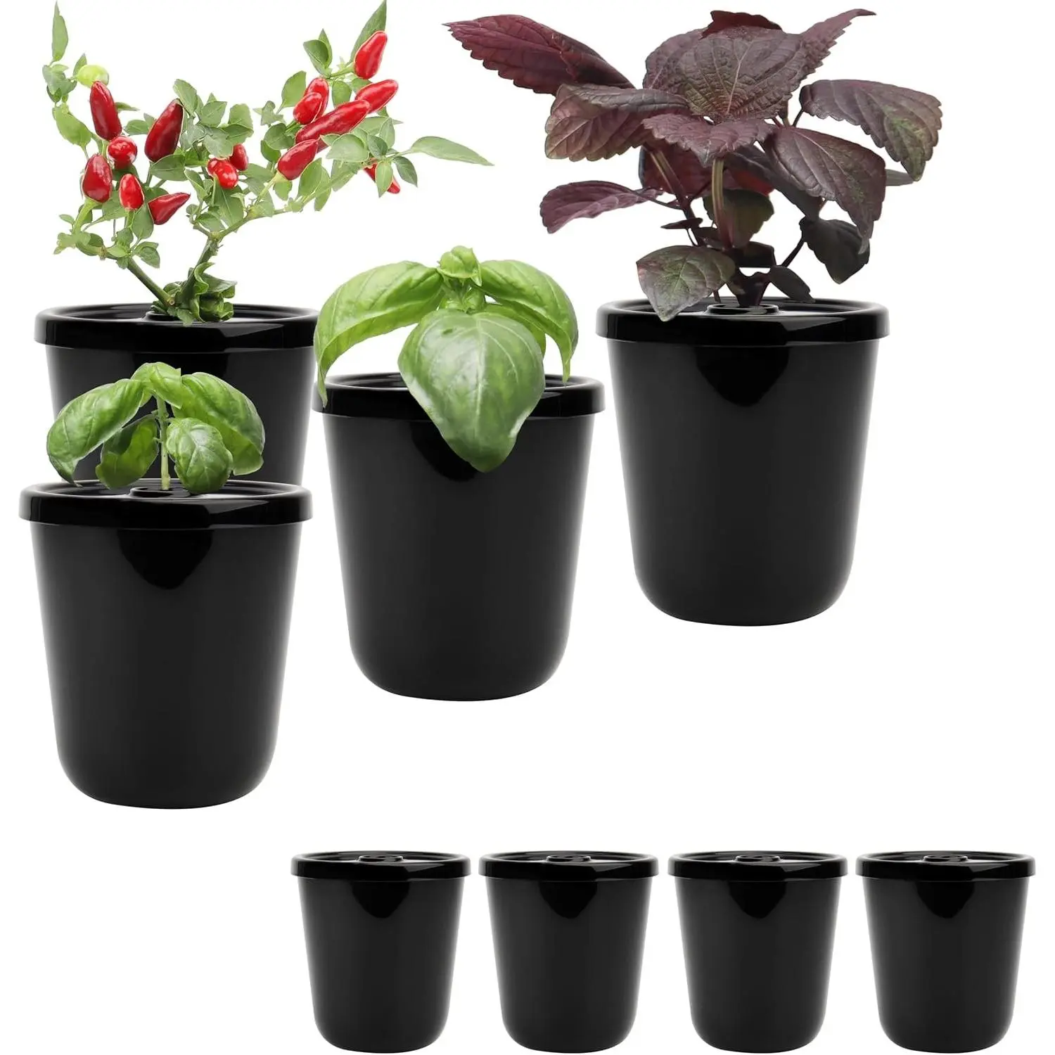 Kratky Method Hydroponic Planter Kit, 8 Hydroponic Planter Plus 24 Growing Sponges for Herbs, Hydroponic Mini Buckets for Windowsill Herb Garden, Hydroponic Growing System for Vegetables (Black)