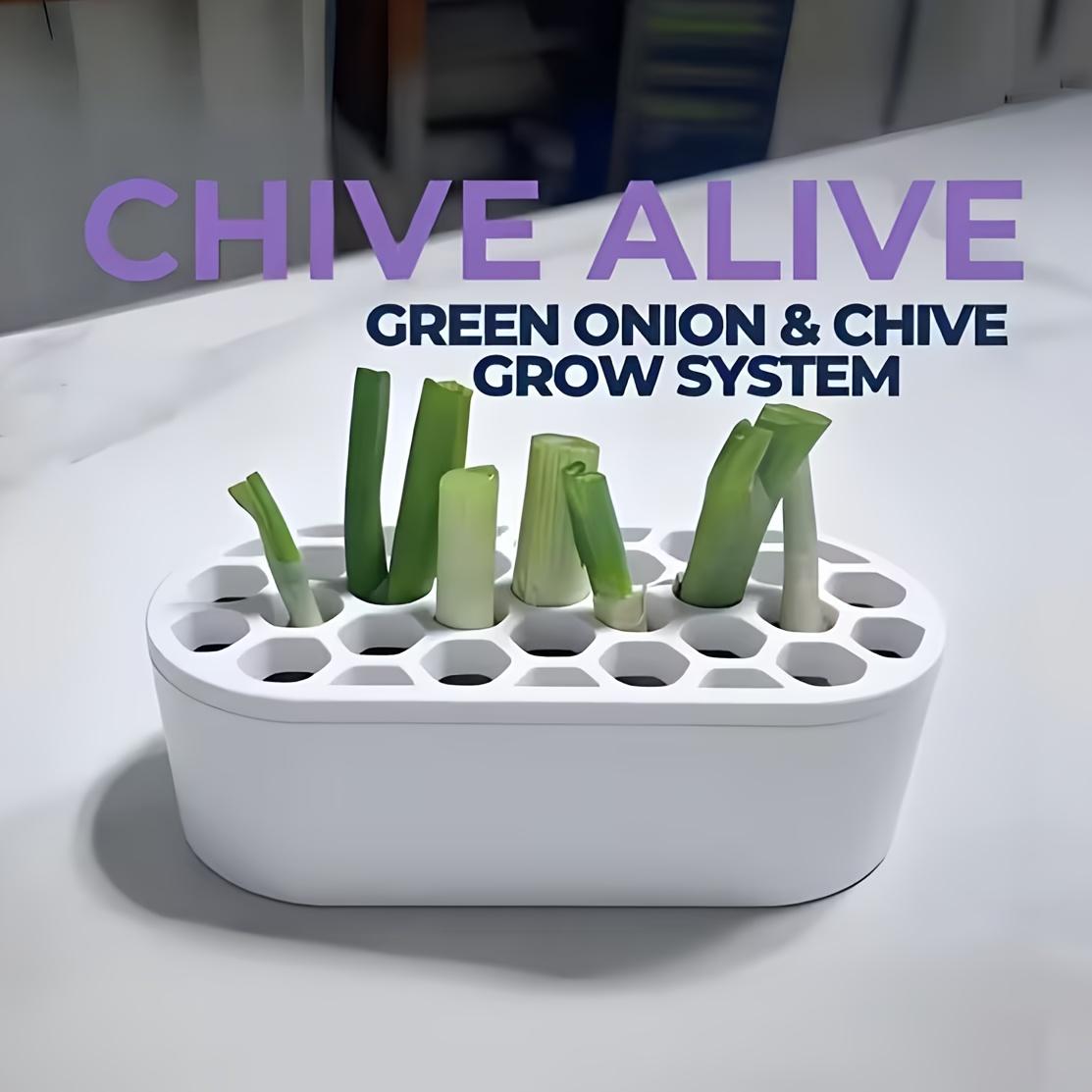 1 Set Green Onion Regeneration Kit - Hydroponic System Suitable for Balcony, Windowsill & Small Space, Quick Grow for Onions at Home, Compact Rapid Regeneration System for Urban Cultivation (No Skills Required)