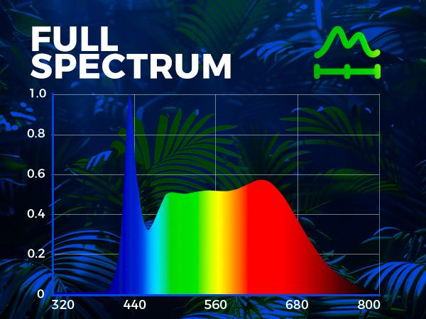 Barrina Hanging LED Grow Light Bulb with Timing and Hanging System, 25W 5000K Full Spectrum, 4H/9H/14H Timer