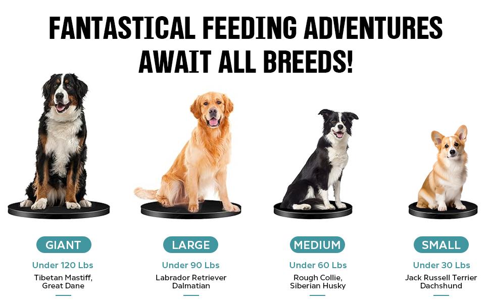 Interactive Dog Treat Ball, Dog Treat Dispenser Toy - Interactive Adjustable Treat Dispensing Dog Puzzle Toy - Mental Stimulation & Slow Feeder for Small, Medium, and Large Breeds - Durable & Fun Boredom Relief Game