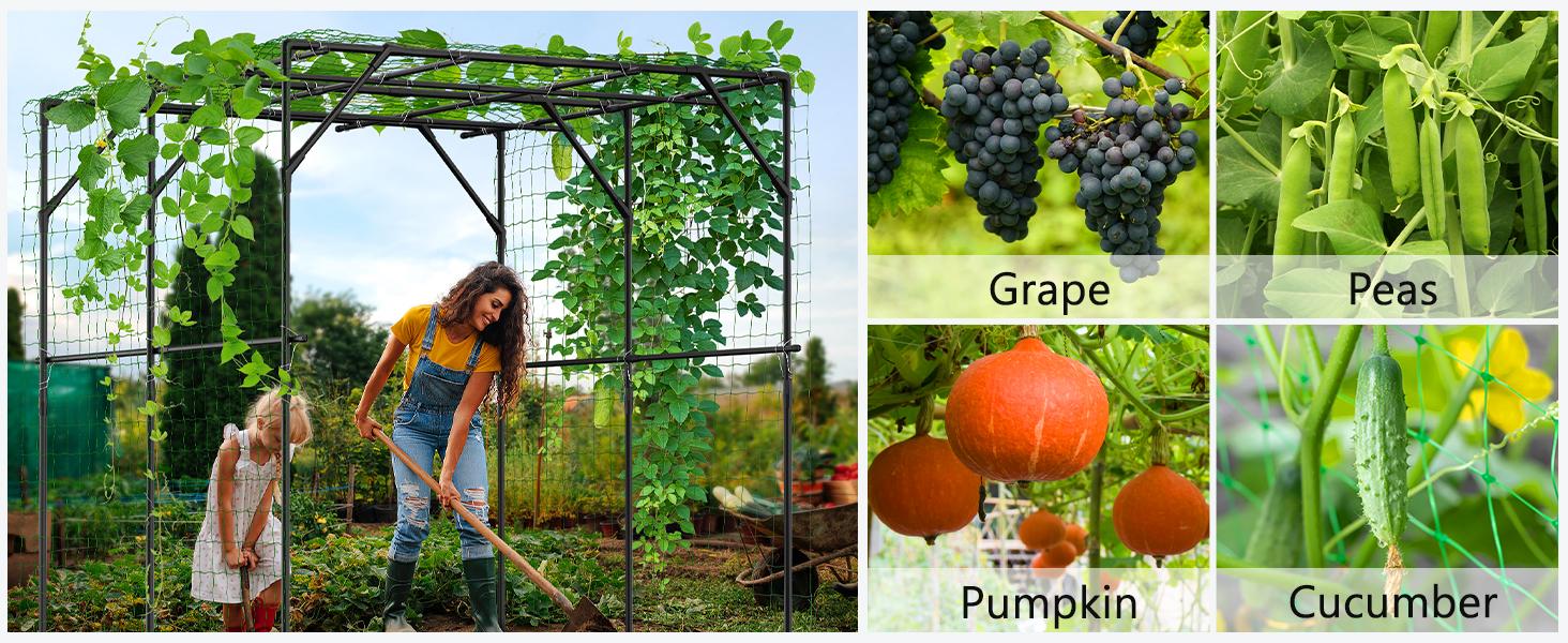 Lilypelle Extra Tall Garden Arch Trellis for Climbing Plants Outdoor, 79" / 87" H Metal Arbor Plant Support Trellis Archway for Yard Lawn Garden