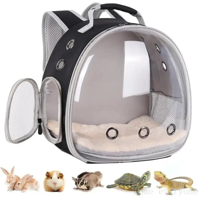 Portable Small  Backpack Travel Breathable Pet Carrier Bag Cages for Guinea Pig, , Bearded Dragon, , Tortoise, Bird, Lizard, Sugar GliderHome everyone