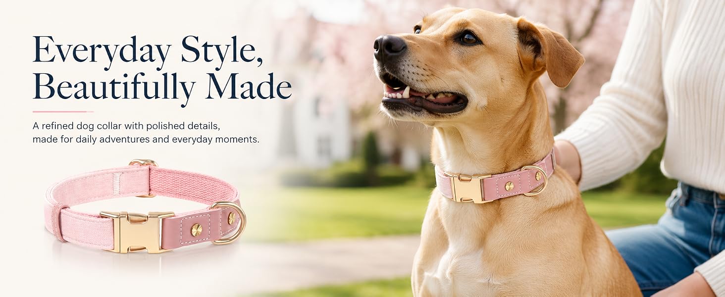 PU Leather Small Dog Collar - Classic Adjustable Size Design, Quick-Release Metal Buckle, Easy-Clean Nylon-Lined Comfortable Blue Pet Collar, Size S