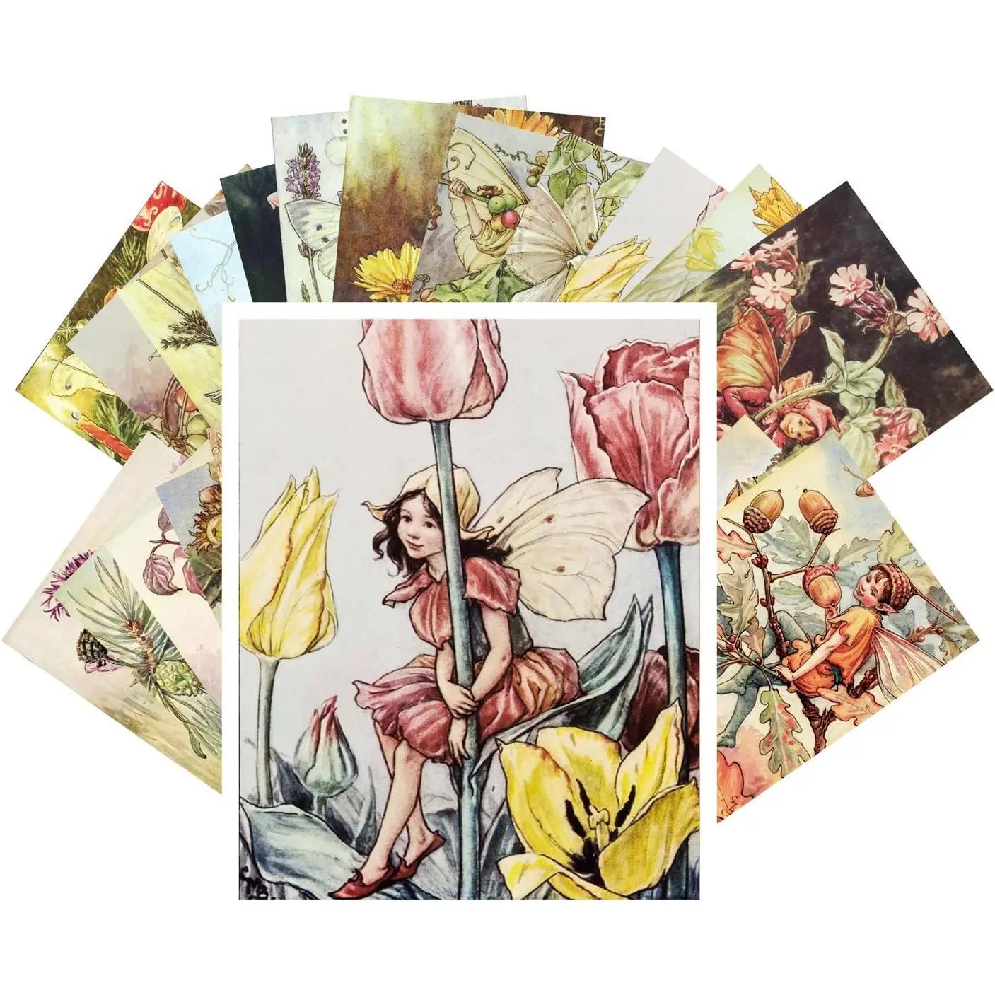 Vintage PostCards 24 pcs Flower Fairy Vintage Book Illustrations