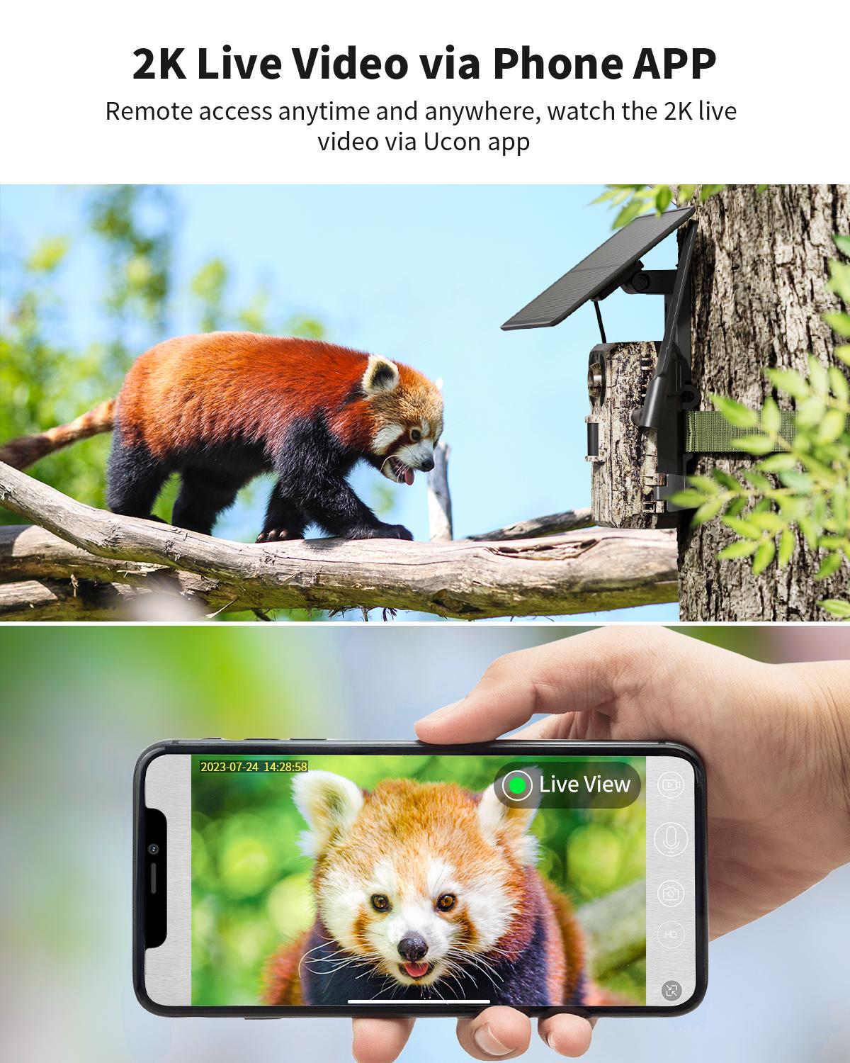 Solar Powered Wireless 4G LTE Trail Camera- 2K Live Video,WiFi Not Supported, Remote APP Controlled, WaterProof, Motion Activated, Night Vision, 4G Data Cellular Card Included (Data refill is required for Unlimited 4G data usage)