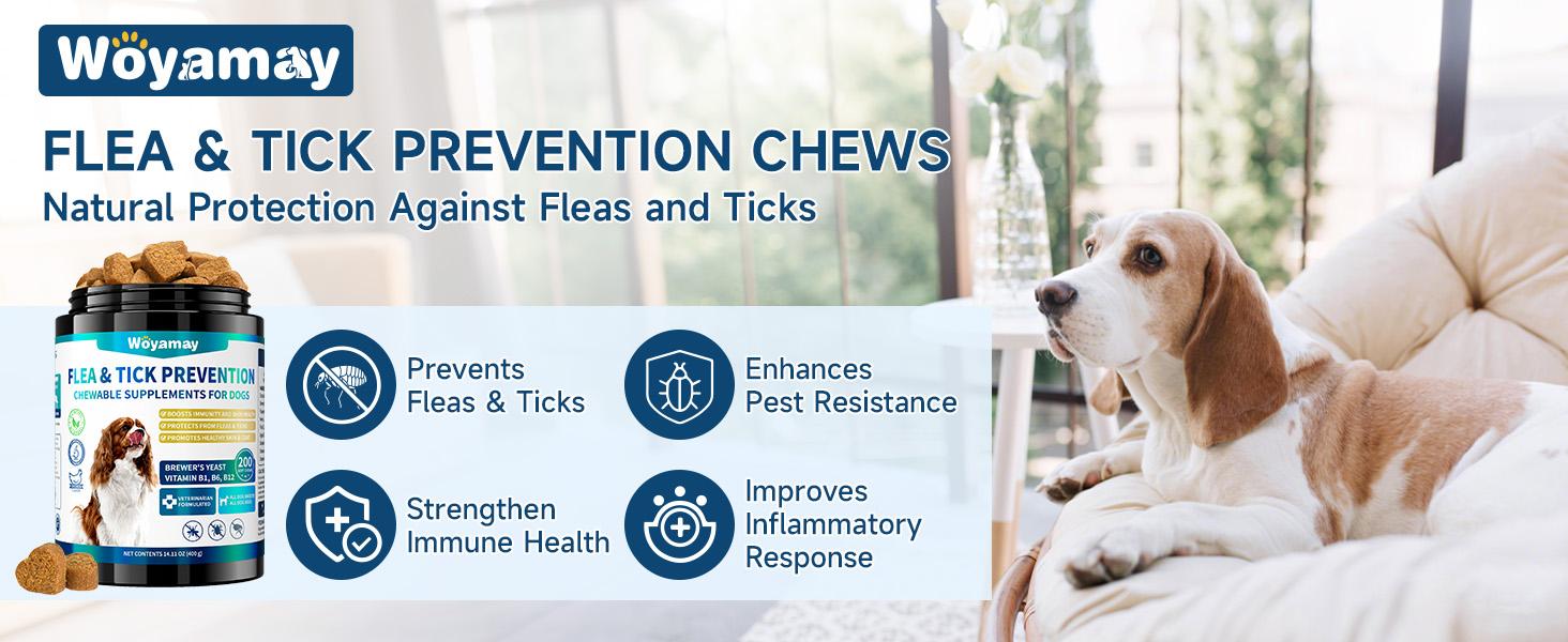 Woyamay Flea & Tick Prevention for Dogs, 200 Ct Chewables Support Skin&Coat Health with Fish oil, Omega-3, Multivitamin, Natural Dog Flea and Tick Chews for All Breeds & Sizes, Chicken Flavor