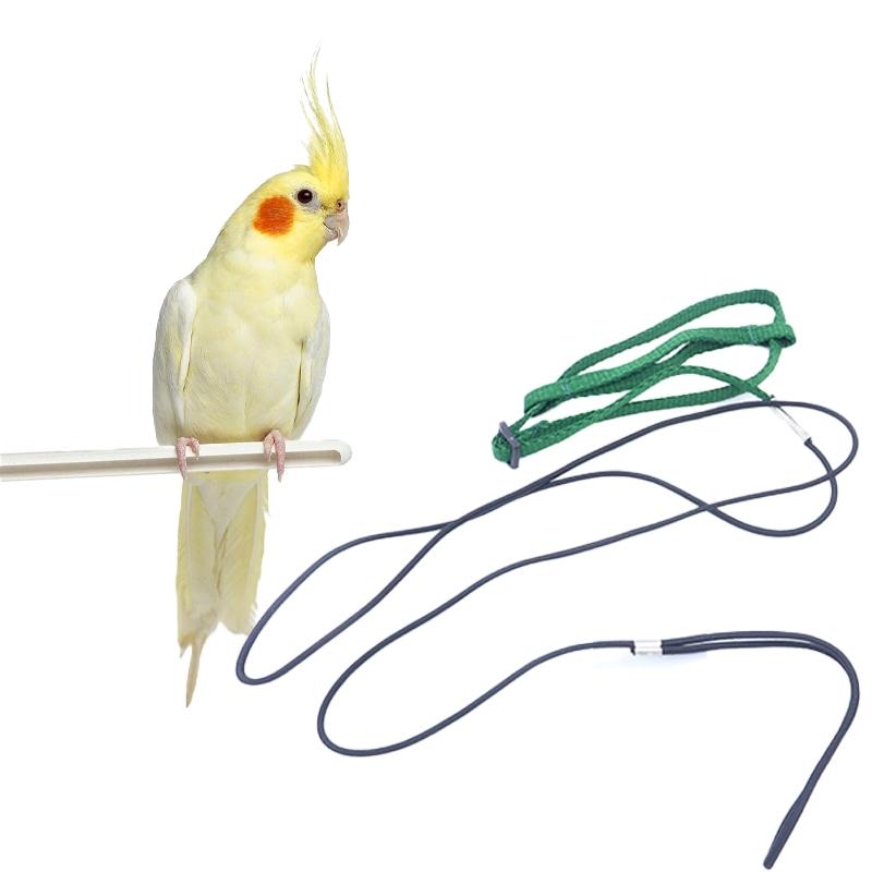 Pet Bird Release Rope, Phoenix Leash, Parrot Outdoor Training Harness, Bird Walking Backpack, Tiger Skin Kingfisher Peony Bird Small Animal Halter